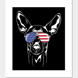 Funny Proud Pharaoh Hound American Flag sunglasses Posters and Art